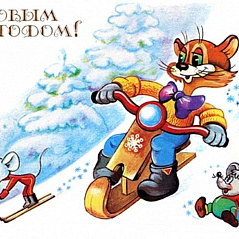 49